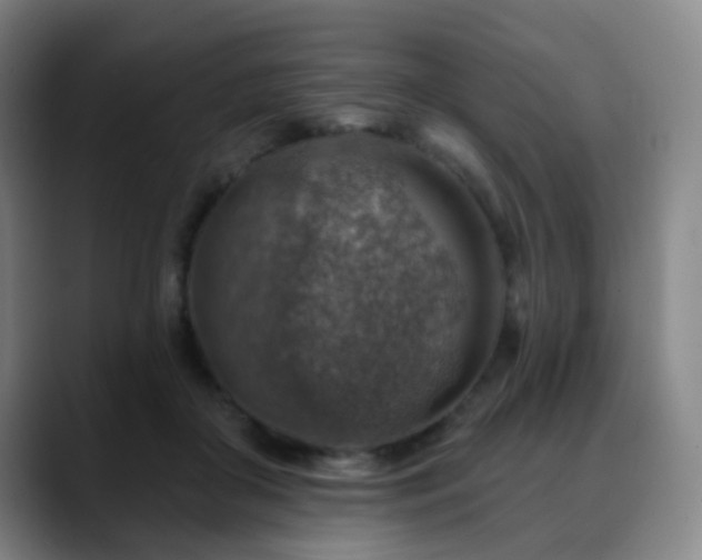 X0000088870410200706151757