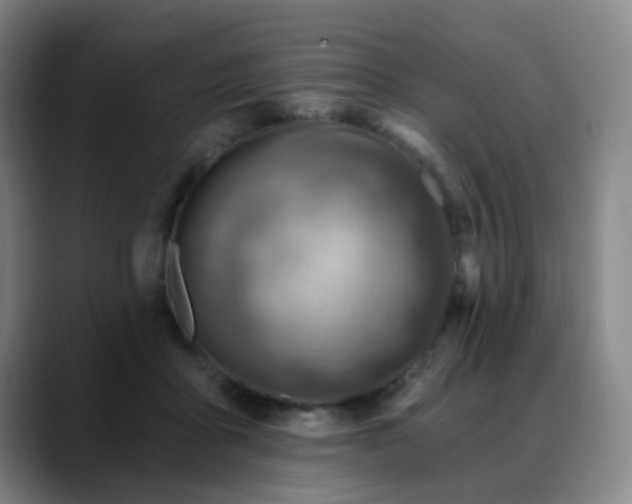 X0000088870411200706151757