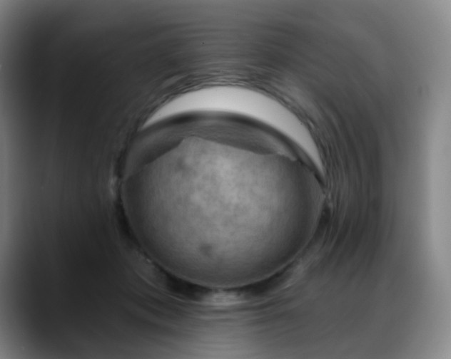 X0000088870413200706151757