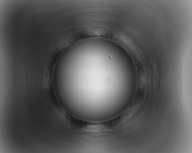 X0000088870414200706151757