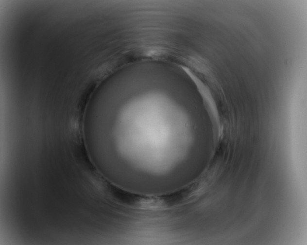X0000088870415200706151757