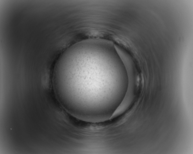 X0000088870416200706151757