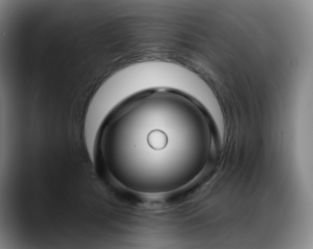 X0000088870417200706151757