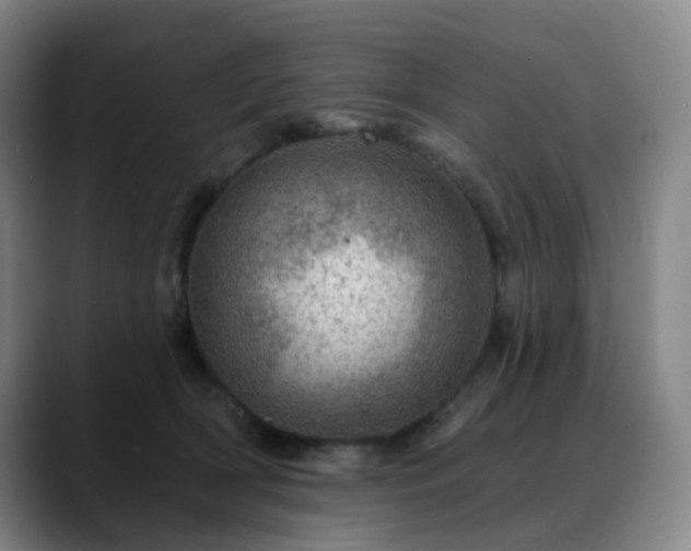 X0000088870418200706151757
