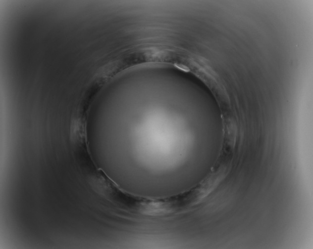 X0000088870419200706151757