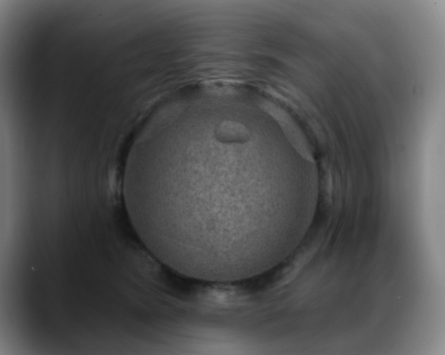 X0000088870420200706151757