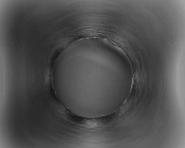 X0000088870423200706151757