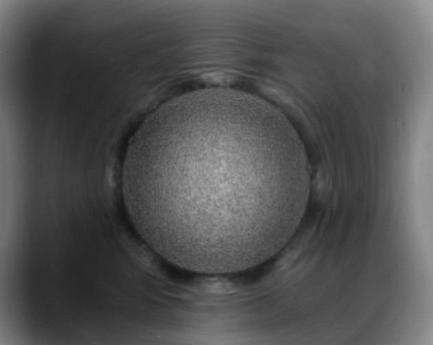 X0000088870424200706151757