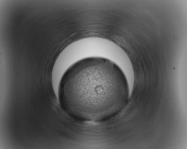 X0000088870425200706151757