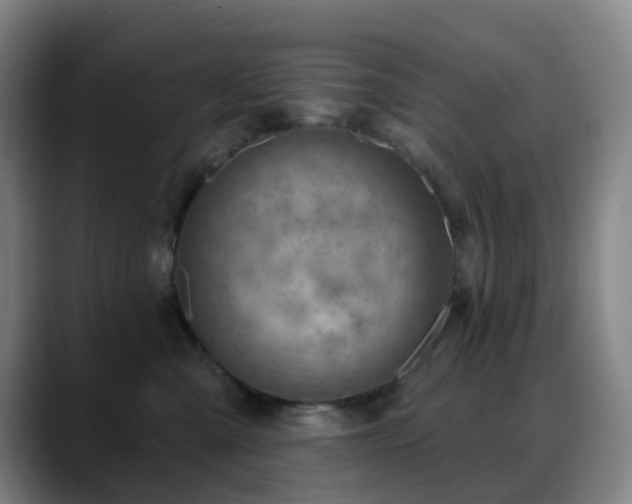 X0000088870427200706151757