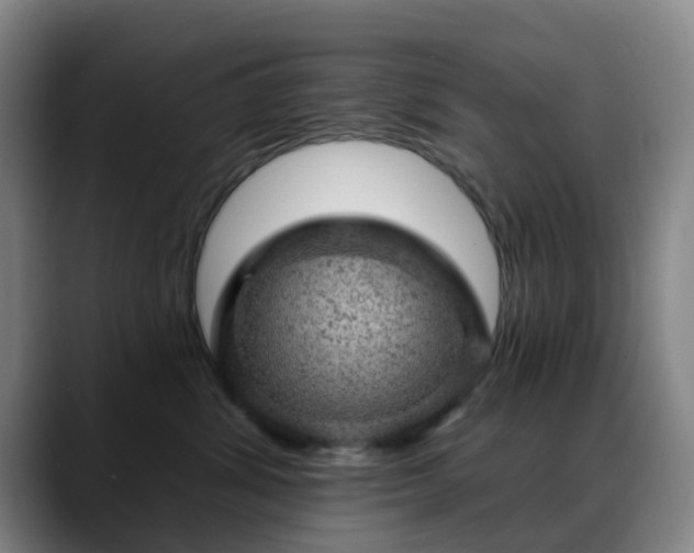 X0000088870428200706151757