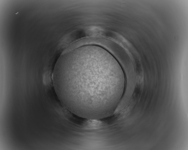 X0000088870429200706151757