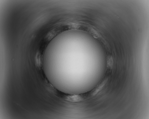 X0000088870431200706151757
