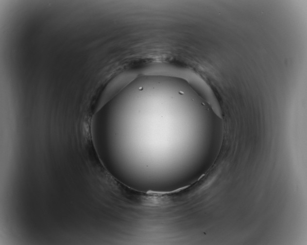 X0000088870432200706151757