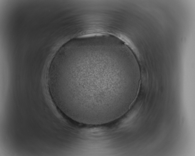 X0000088870433200706151756
