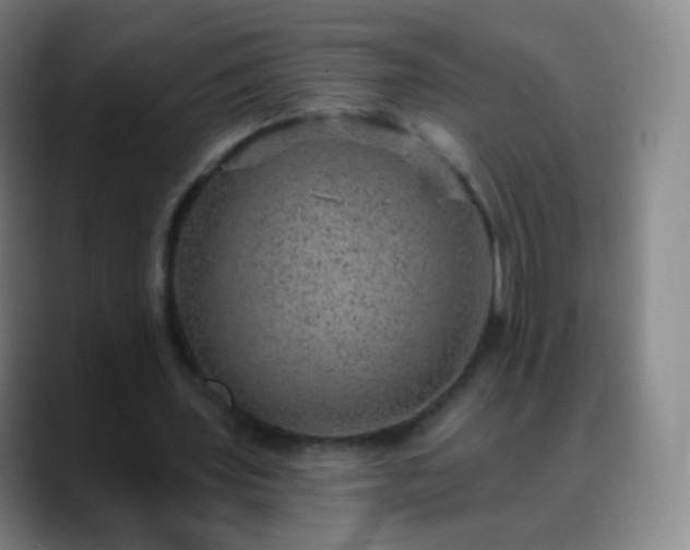 X0000088870435200706151756