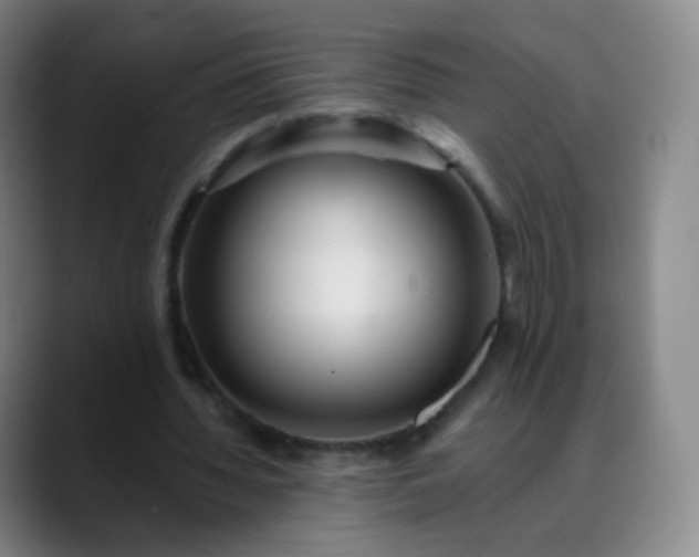 X0000088870436200706151756