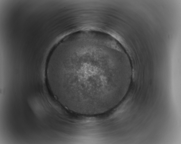 X0000088870438200706151756