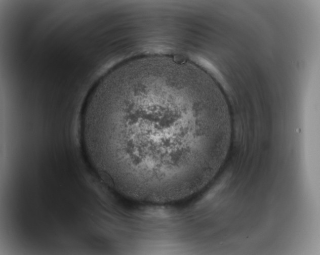 X0000088870439200706151756