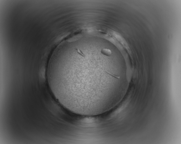 X0000088870441200706151756