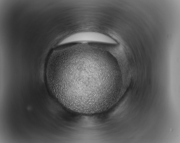 X0000088870442200706151756