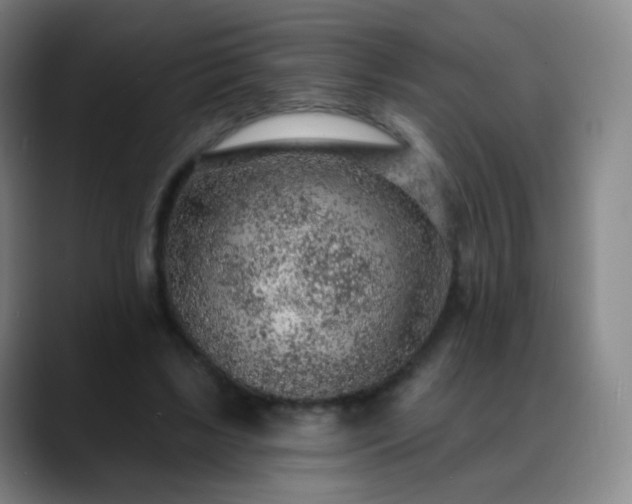 X0000088870443200706151756