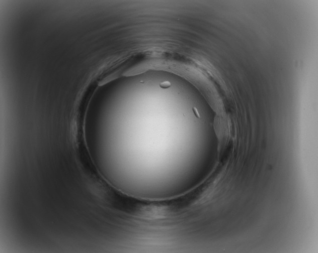 X0000088870444200706151756