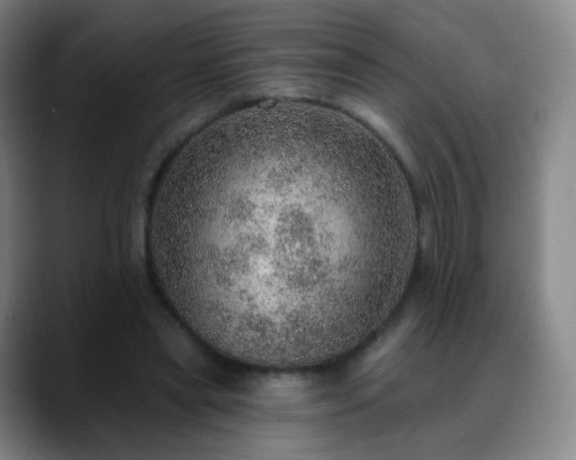 X0000088870445200706151756