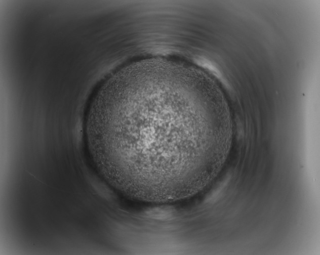 X0000088870447200706151756