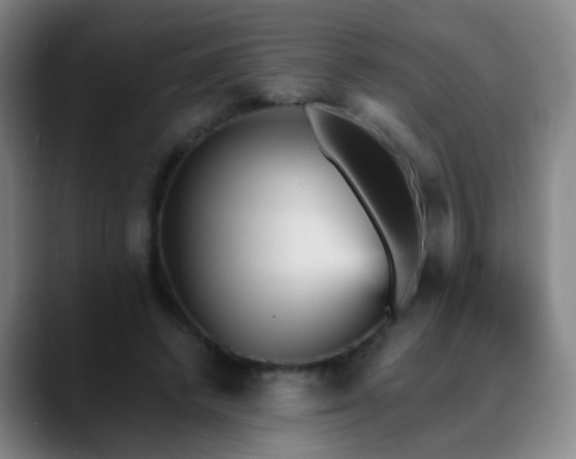 X0000088870448200706151756