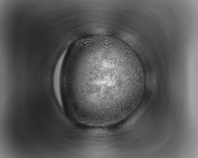 X0000088870449200706151756