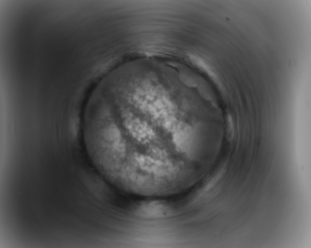 X0000088870451200706151756