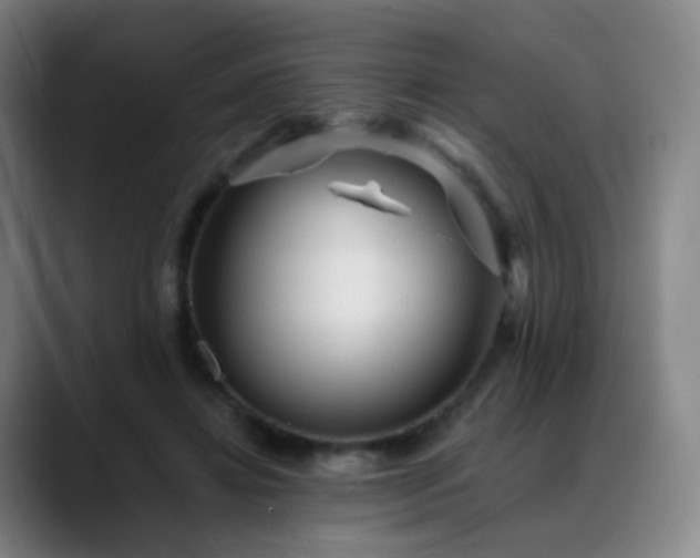X0000088870452200706151756