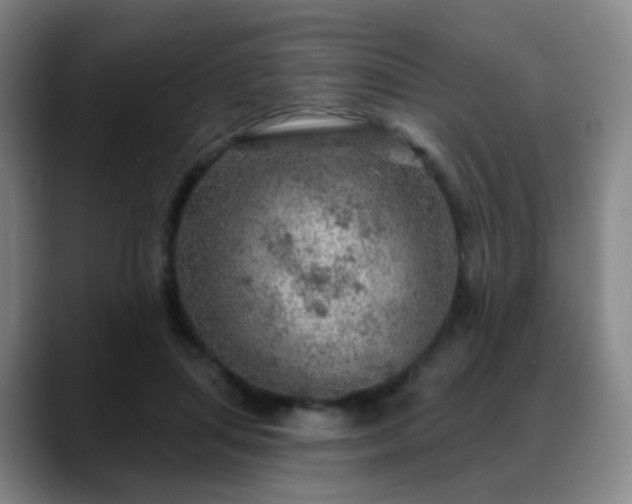 X0000088870455200706151756