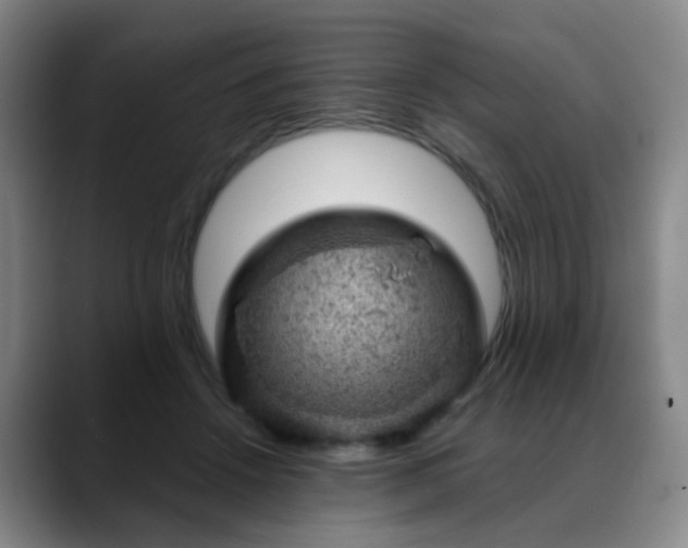 X0000088870456200706151756