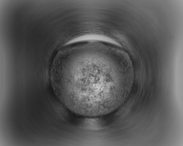 X0000088870457200706151756