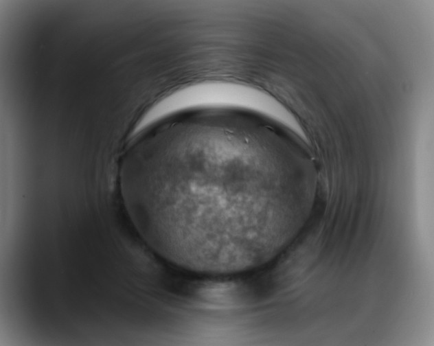 X0000088870458200706151756