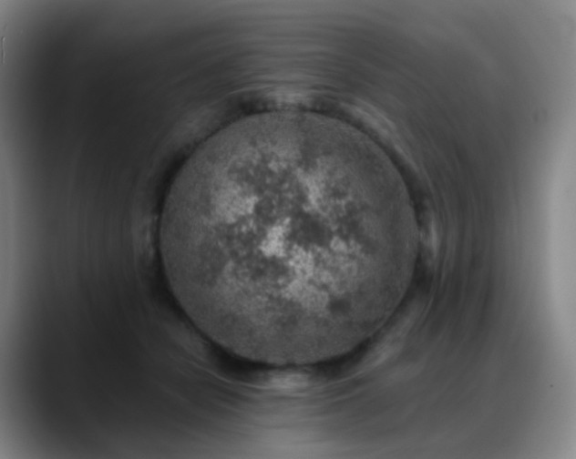 X0000088870462200706151756
