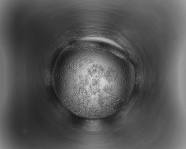 X0000088870469200706151757