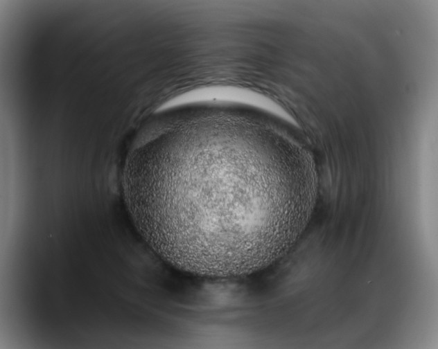 X0000088870470200706151757