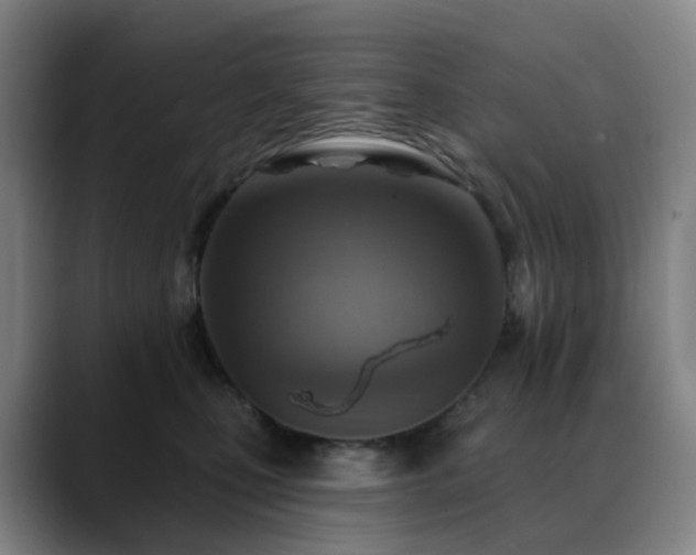 X0000088870471200706151757
