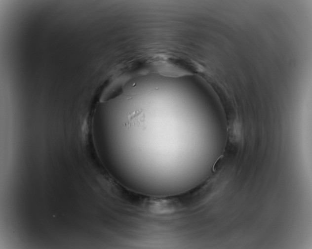 X0000088870472200706151757