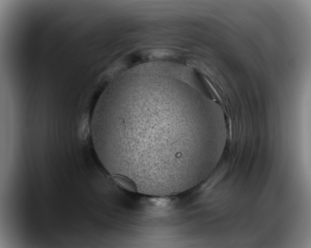 X0000088870478200706151757
