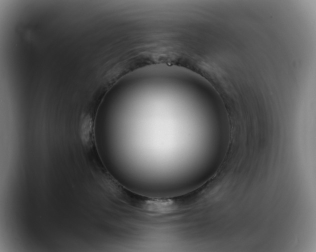 X0000088870480200706151757