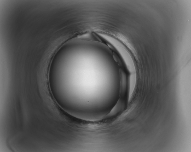 X0000088870481200706151756