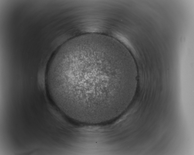X0000088870482200706151756