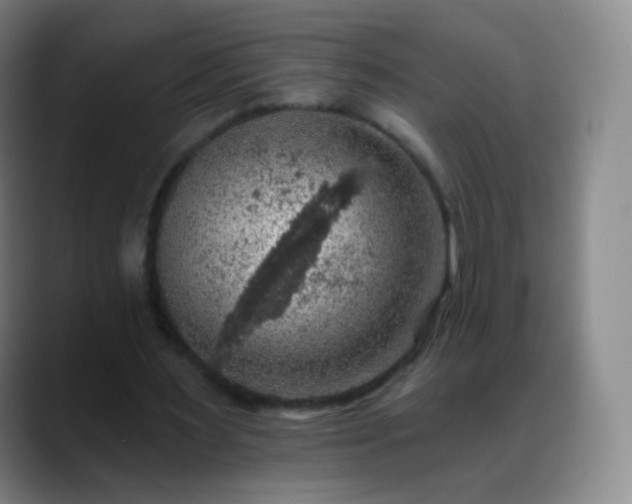 X0000088870483200706151756