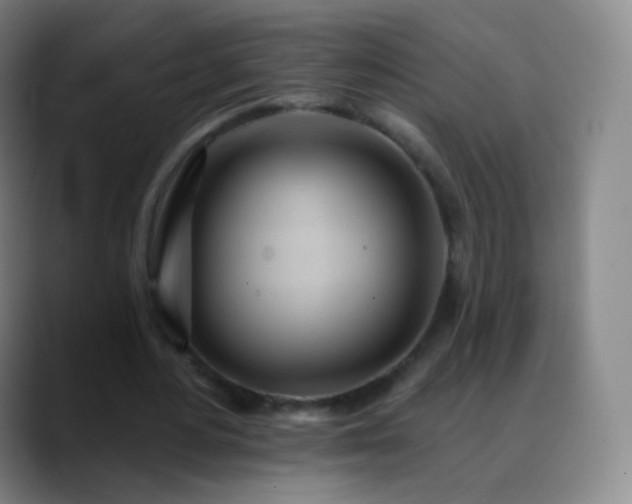 X0000088870484200706151756