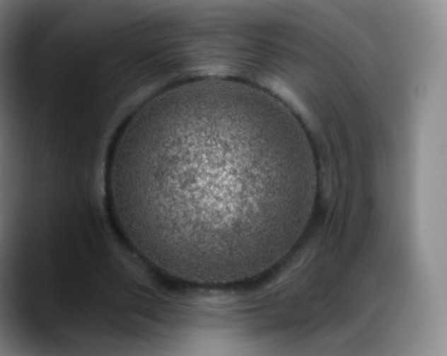 X0000088870486200706151756