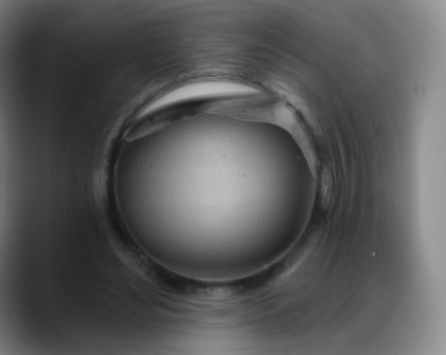 X0000088870492200706151756